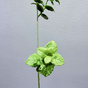 Feuilles de menthe artificielles Meng Jie 30cm-100cm, plante en plastique pour décorations de mariage et arrangements DIY - Product Image 4