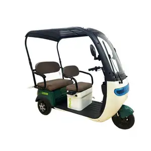 Electrique Baby Tricycles Cooler Delivery Tourist Inverse Wheels Solar Cargo 110Cc Handicapes Hydraulic Rear Electric Tricycle