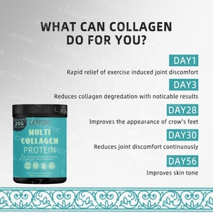 Polvere di Collagene Multiplo Clinicamente Testata per Promuovere Pelle, Capelli, Articolazioni e Digestione <span class=keywords><strong>Sani</strong></span> - Product Image 2