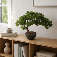 Arbre Bonsaï Artificiel OEM ODM, Plante Artificielle en Pot pour la Décoration de la Maison, du Bureau, de la Table, de la Table de Bureau, Végétation Miniature Réaliste, Cadeau