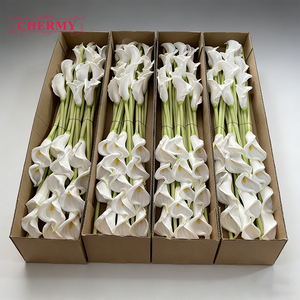 Fiori Artificiali di Calla Bianca in EVA di Alta Qualità, Effetto Realistico, 52cm per Centrotavola, Matrimoni, Natale, Capodanno, Decorazioni per la Casa - Product Image 1