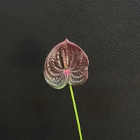 Susunan Dekorasi Aula Pernikahan Gaya Cina Seri Merah YHM dengan Bunga Artifisial Mawar, Hydrangea, Phalaenopsis, dan Camellia - Seni Pengaturan Gaya