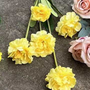 Rose coréenne jaune à 5 têtes