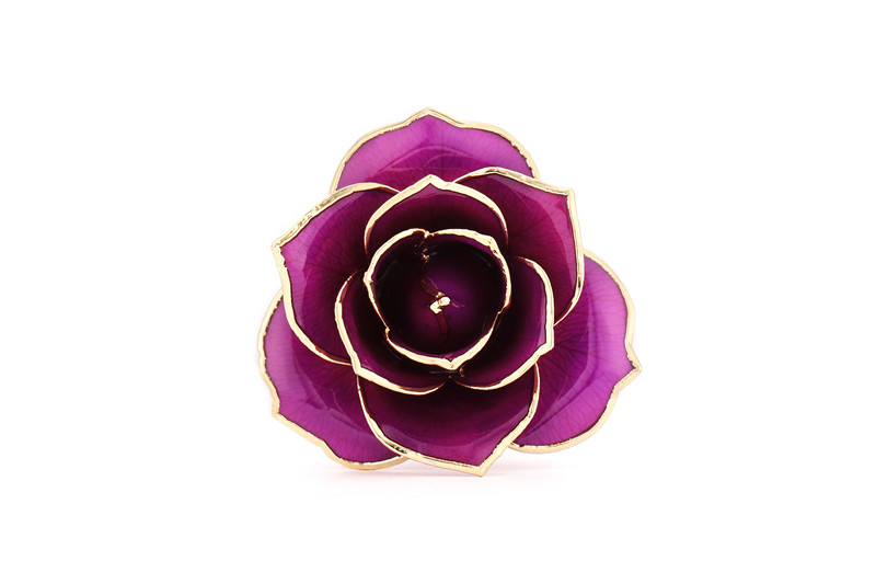 D4-violet