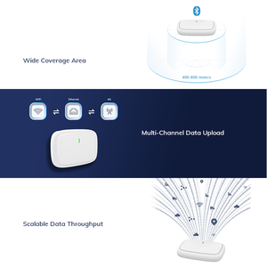 Trong nhà cạnh máy tính cầu BLE Receiver IOT phần cứng 600m dài Phạm vi bluetooth để <span class=keywords><strong>Ethernet</strong></span> Wifi 4G LTE đa-chế độ Gateway - Product Image 4