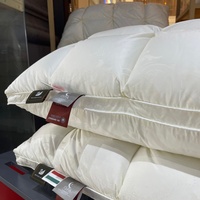 Oreillers en plumes de canard rectangulaires durables avec logo personnalisé, pour hôtel de luxe, avec housses en soie pour le cou et la tête