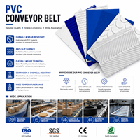 Courroie de Convoyeur SHUNNAI Personnalisée, Réglable, à Faible Bruit, Résistante à la Chaleur et au Feu, en PVC Durable avec Surface Diamantée