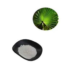 Saw Palmetto Fruit Extract Saw Palm Fatty Acid Whole Price Saw Palmetto Extract Powder Fatty Acid 45%