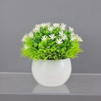 Bonsaï Artificiel en Pot, Haute Simulation, Idéal Cadeau de Remise de Diplôme, Décoration pour Salon, Bureau, Porche, Meuble TV