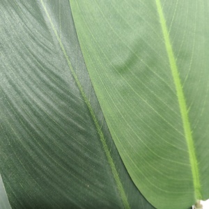 CHUANGFA 140cm Plástico Artificial <span class=keywords><strong>Canna</strong></span> Lily Tree para Navidad Acción de Gracias Pascua Año Nuevo Halloween Día de San Valentín Bodas - Product Image 3