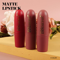 Gros Cosmétique Rouge À Lèvres Mat Bullet Laque Tube Spécial Étanche Brillant À Lèvres rouge à lèvres mat 24 heures