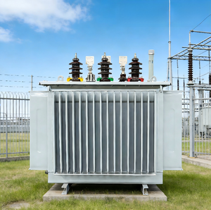 มอเตอร์ไฟฟ้า mV & HV สำหรับซัพพลายเออร์6kV 10KV แบบจุ่มน้ำมันสามเฟส S13 800KVA 500KVA สูง/20/22 - Product Image 4