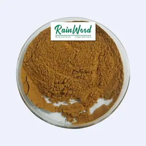 Rainwood 7 in 1 mushroom powder maitake mushroom extract 10% beta glucan with chaga powder for coffee tea reishi powder