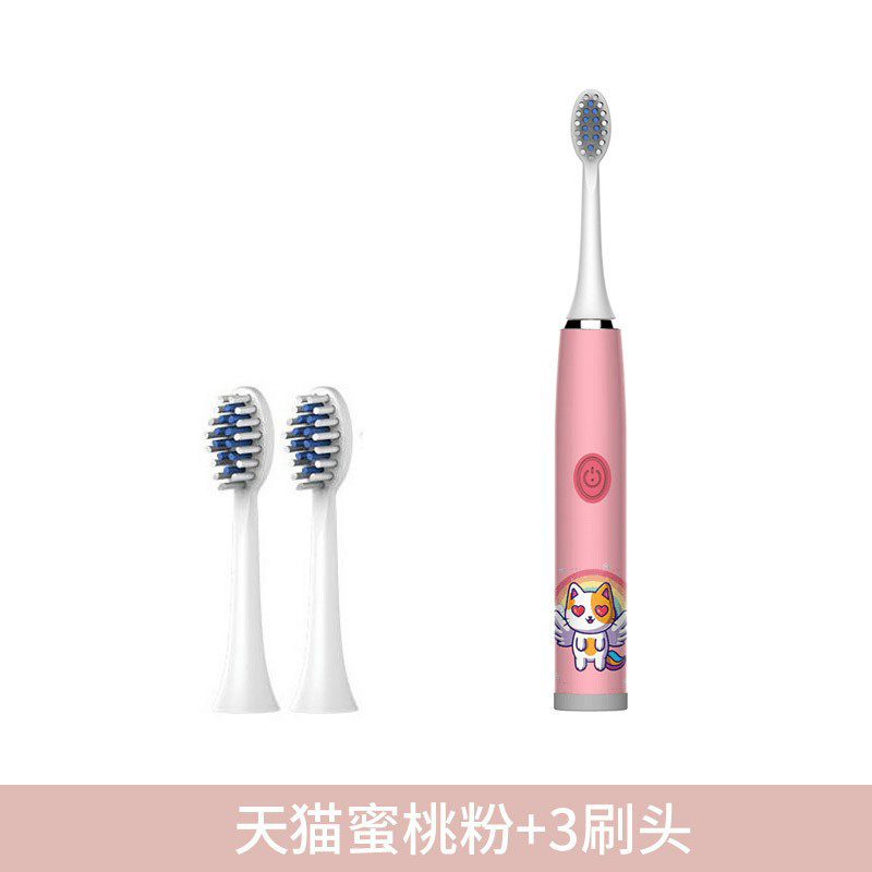 06 batterie de poudre de pêche-3 têtes de brosse
