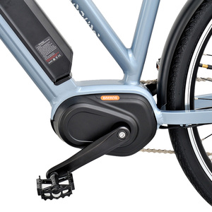 Vélo électrique à moteur central 250W <span class=keywords><strong>Altus</strong></span> <span class=keywords><strong>9</strong></span> <span class=keywords><strong>vitesses</strong></span> Vélo de ville électrique pour adultes - Product Image 3