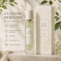 Eau de parfum aux agrumes et citron, coffret parfum pour le marché du Moyen-Orient, marque privée, OEM, ODM, faible MOQ, fournisseur de parfums