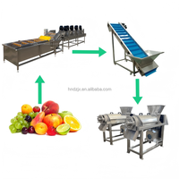 DZJX Volledig Automatische Productielijn voor Geconcentreerd Fruitpulp voor Duindoorn Sap Puree Drank Pulpmachine