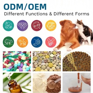 Lage minimale bestelhoeveelheid Cognitie Hersenen Gezondheid Hondenvitamines Poeder voor alle rassen Huisdier Supplementen en Vitaminen Snelle Verzending - Product Image 5