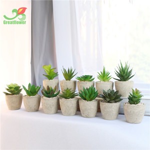 Le migliori <span class=keywords><strong>piante</strong></span> succulente <span class=keywords><strong>artificiali</strong></span> in vaso reali come Mini selezionate per la decorazione del Desktop - Product Image 2