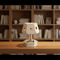 Kit STEM créatif pour tableau blanc de graffiti, lampe à détection de lumière faite à la main pour enfants