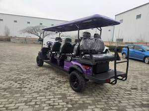 Voitures de golf électriques 2 places 2026 à prix abordables, buggy à vendre A617.2 - Product Image 6