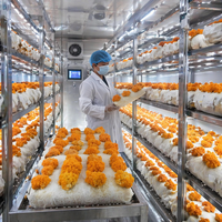 Grandes serres agricoles multi-chapelles commerciales pour culture verticale hydroponique, destinées à la recherche Pro-leaf, pour la production de laitue, de fraises et de chanvre