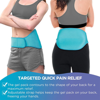 Brace dorsale de compression chaude et froide réutilisable pour les blessures lombaires à la taille et à la sciatique Soulagement de la douleur Thérapie par le froid