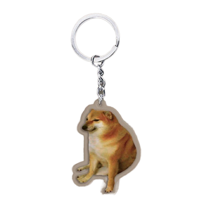 Custom Logo Acrylic Carabiner Keychain Cat Dog ID Charm Print Holographic Personal Photo Pet Souvenir Birthday Gift Tag Name