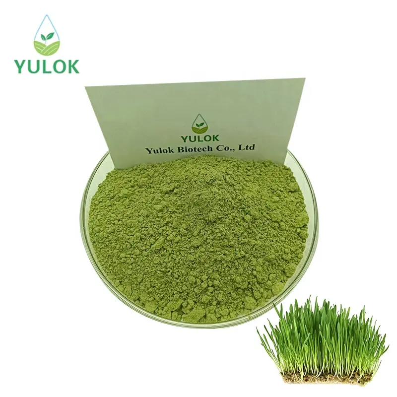 Vente en gros d'usine sans additifs 100% poudre d'herbe de blé biologique naturelle pure