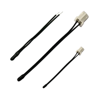 Sensor Suhu Tahan Air Termistor NTC 10K yang Dapat Disesuaikan, Kabel Probe SS304/316/310, Dukungan ODM, Penggunaan Industri, Output Analog