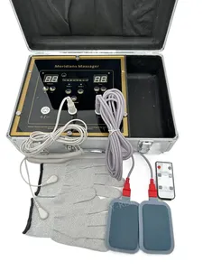Physiotherapy Instrument Fohoww Bioenergy Massage Machine Bioelectric Meridian Dredge Pulse Dds Bio Electric Body Massager