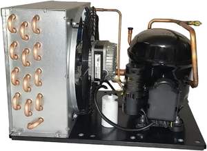 Unités de condensation de refroidisseur liquide à économie d'énergie DC 110V R-404A, pièces détachées pour congélateur, large compatibilité, nouveau, fabriqué en Chine - Product Image 5