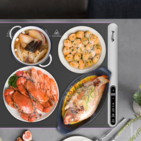 Nouveau design, plaques chauffantes à lumière LED ambiante, chauffe rapide en 8 secondes, plateau chauffant électrique en silicone, minuterie 12 heures, tapis chauffant pour aliments pour les fêtes