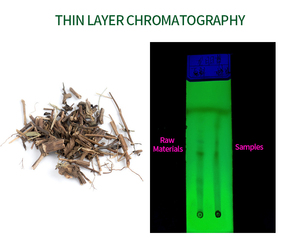 Chiết Xuất Thực Vật Tự Nhiên Gentiopicroside Bột Gentiana Scabra Bge <span class=keywords><strong>P.E.</strong></span> Bột Chiết Xuất Từ Rễ Cây <span class=keywords><strong>Gentian</strong></span> - Product Image 3