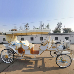 Vehículo de Transporte Dedicado para Recorridos Turísticos de Lujo 2026, Alta Calidad y Económico, Carruaje de Caballos, Precio de Fábrica, Bajo Precio - Product Image 6