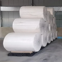 Papier en rouleau jumbo pour la fabrication de papier toilette, grande bobine parent pour usine de conversion, OEM