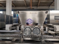 Machine de glaçage et d'enrobage automatique complète à servocommande pour barres chocolatées, chocolat au lait en forme de cœur fourré centrallement