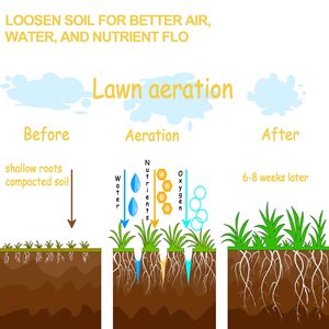 Aeratore Manuale per Prato da 16 Pollici OEM, Strumento per <span class=keywords><strong>l</strong></span>'Aerazione del Terreno, Attrezzo per la Cura del Prato e del Giardino - Product Image 6