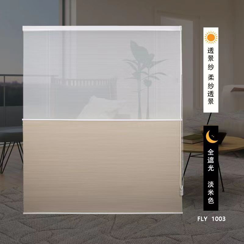 Day and night   with curtains + full blackout light beige