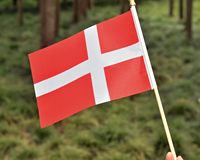 Drapeau miniature en bois personnalisé en polyester 100 % pour la Colombie, idéal pour les défilés sportifs, les fêtes et les décorations de festivals – Vente en gros