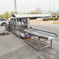Elektrische Obstwaschmaschine aus Lebensmittelqualität Edelstahl, Blasenwaschmaschine für Gemüseverarbeitungslinien