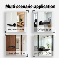 Poignées de porte principales avec serrure intelligente TTLock WiFi, empreinte digitale, compatibilité porte aluminium/bois/verre, contrôle via application Tuya