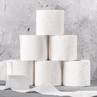 Vente en gros de papier de soie blanc chinois écologique doux pas cher imprimé en vrac paquet de rouleaux de papier de soie sans noyau importation 2ply rouleau de papier toilette