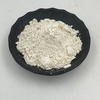 Poudre de Psyllium en vrac de qualité alimentaire