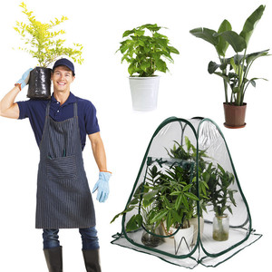 Mini-serre pliable en plastique transparent, abri de balcon familial pour la culture des plantes et la germination des semis - Product Image 1