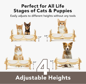 Plato Elevado para Gatos y Perros Pequeños, de Bambú, Antideslizante, Apto para Lavavajillas, 15 cm, Marca Craft - Product Image 2