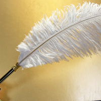 Stylo plume en plumes d'autruche vintage antique pour calligraphie, vente en gros