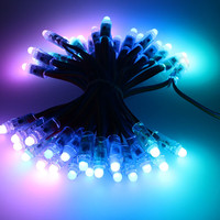 Guirlande lumineuse intelligente à pixels RVB pleine couleur programmable 5V IP65 étanche pour PC, module LED DMX512 12mm pour jardin et Noël (vente en gros)