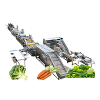 Huchuan Hoge Kwaliteit Ecologische Fruit & Groente Belletjesreinigingsmachine Sla Pompoen Verwerkingslijn 500kg/u Capaciteit