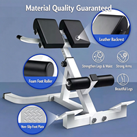 Chaise romaine réglable, banc d'hyperextension, banc d'extension dorsale, appareil d'entraînement abdominal, équipement multifonctionnel pour le renforcement du tronc, équipement de gym à domicile